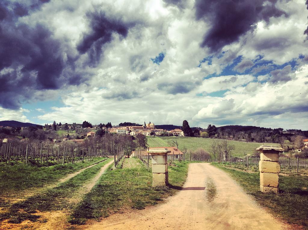 Gites Le Lancelot Ambierle Exterior foto
