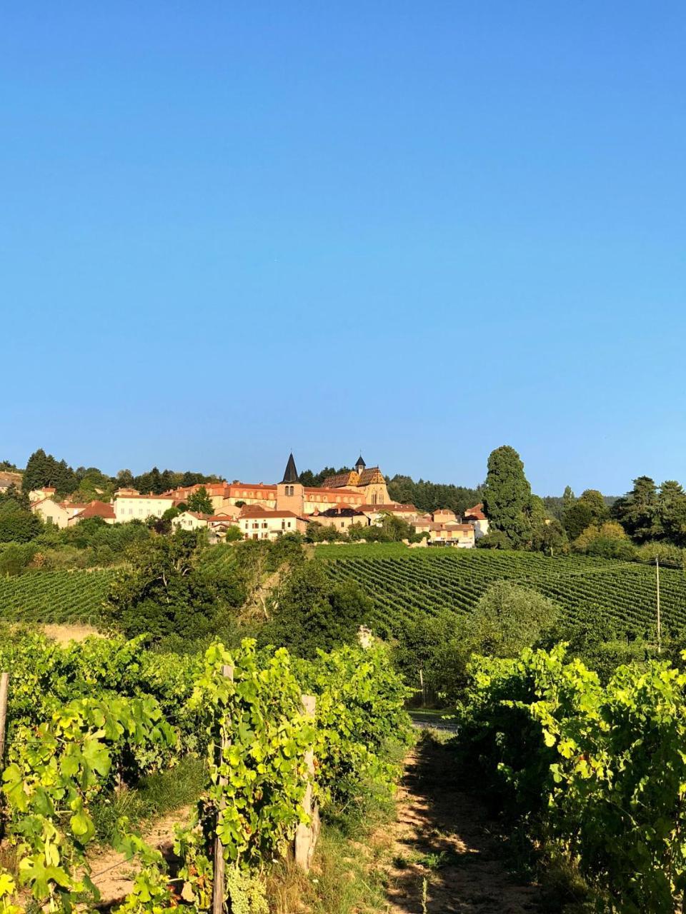 Gites Le Lancelot Ambierle Exterior foto