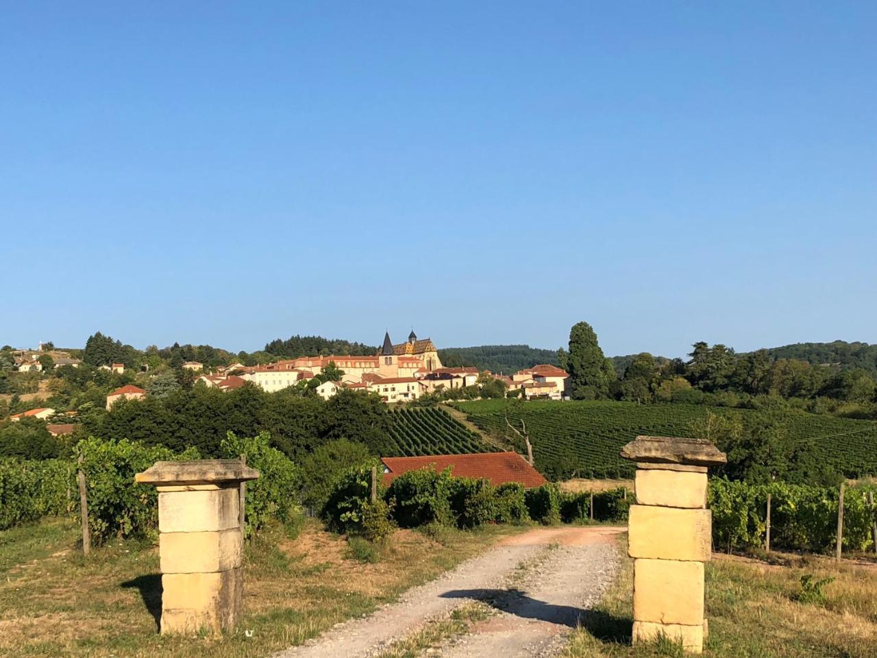 Gites Le Lancelot Ambierle Exterior foto